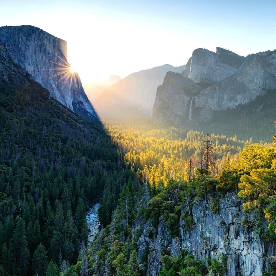 アメリカ内務省さんのインスタグラム写真 - (アメリカ内務省Instagram)「Anticipation is high. Whether you’re driving into #Yosemite #NationalPark for the first time or the fiftieth, you know you’re going to see something special. Coming up from the south, the Wawona Road curves through the mountains, the sunlight flickering through the passing trees. One more curve and you cruise into the tunnel. As you emerge, the view takes your breath away. There they are: El Capitan and Bridalveil Fall rising above the narrow, dramatic valley with Half Dome’s rounded top standing in the distance. You see it now. You’ll see it forever. Photo @YosemiteNPS courtesy of Mark Bouldoukian (@markian.b). #travel #FindYourPark #usinterior」7月31日 9時05分 - usinterior