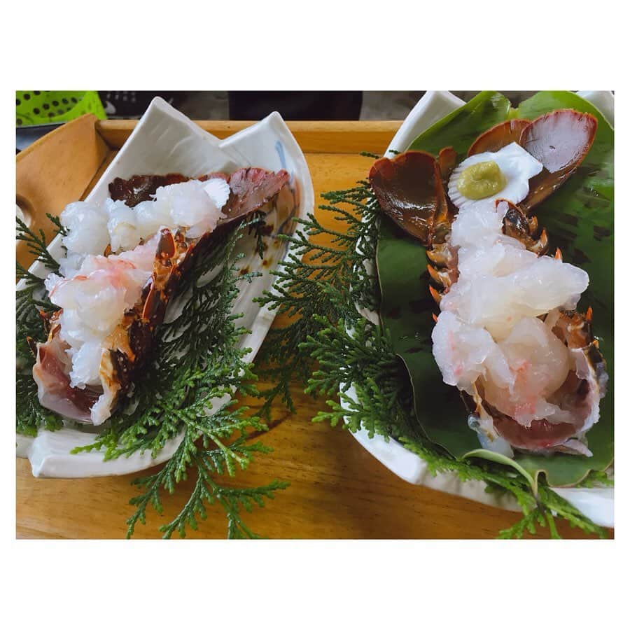 酒井瞳さんのインスタグラム写真 - (酒井瞳Instagram)「#よかばん 今回は私の地元 #延岡 の#北浦町 にある #浜焼き をいただきました！豪華な新鮮海の幸のフルコースを鱈腹食べもう幸せいっぱい！ぷりっぷりの牡蠣に伊勢海老のお刺身と〆の雑炊。。。あぁまた食べたい。。。 #宮崎 #延岡市 #UMK #夏 #夏休み #海の幸 #グルメ #いただきます #ごちそうさまでした #牡蠣 #１０年もの #大きい」7月31日 9時11分 - s.sakaihitomi