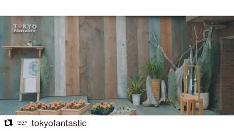 のインスタグラム：「☺︎☺︎☺︎ #Repost @tokyofantastic with @get_repost ・・・ 音楽アーティストsankaraのTossによる書き下ろし楽曲によるコンセプトビジュアルムービー ‪Toss × TOKYO FANTASTIC OMOTESANDO‬ Enjoy every moment. -Weekly Lab special ver.- https://youtu.be/w9ZE3hR1Bfw  Rap: @sankaratoss Music Track: @d.a.b.d.e Video Camera & Edit : @gyu_foc Starring: @anna97114 & Taisei Location: TOKYO FANTASTIC OMOTESANDO @tokyofantastic  Directed by Toss Produced by TOKYO FANTASTIC  #TokyoFantastic #TokyoFantasticOmotesando #TidaFlower #ドライフラワー #sankara #WeeklyLab #すべての瞬間を楽しもう #いいことのはじまりに #日日是好日」