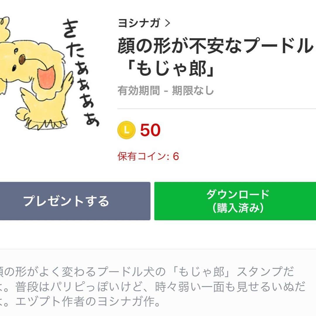  吉永龍樹のインスタグラム：「新作スタンプの「もじゃ郎」を出しました！  LINEで「顔の形が不安なプードル」と検索してください笑（長い…） ・ ・ ・ #LINEスタンプ #スタンプ #LINE #プードル #パリピ #DJ #サングラス #バイブス #僕秩 #ヨシナガ #dfnt #illustration #イラスト #いらすと #どうぶつ #kawaii #絵 #ハッピー #アイコン #drawing」