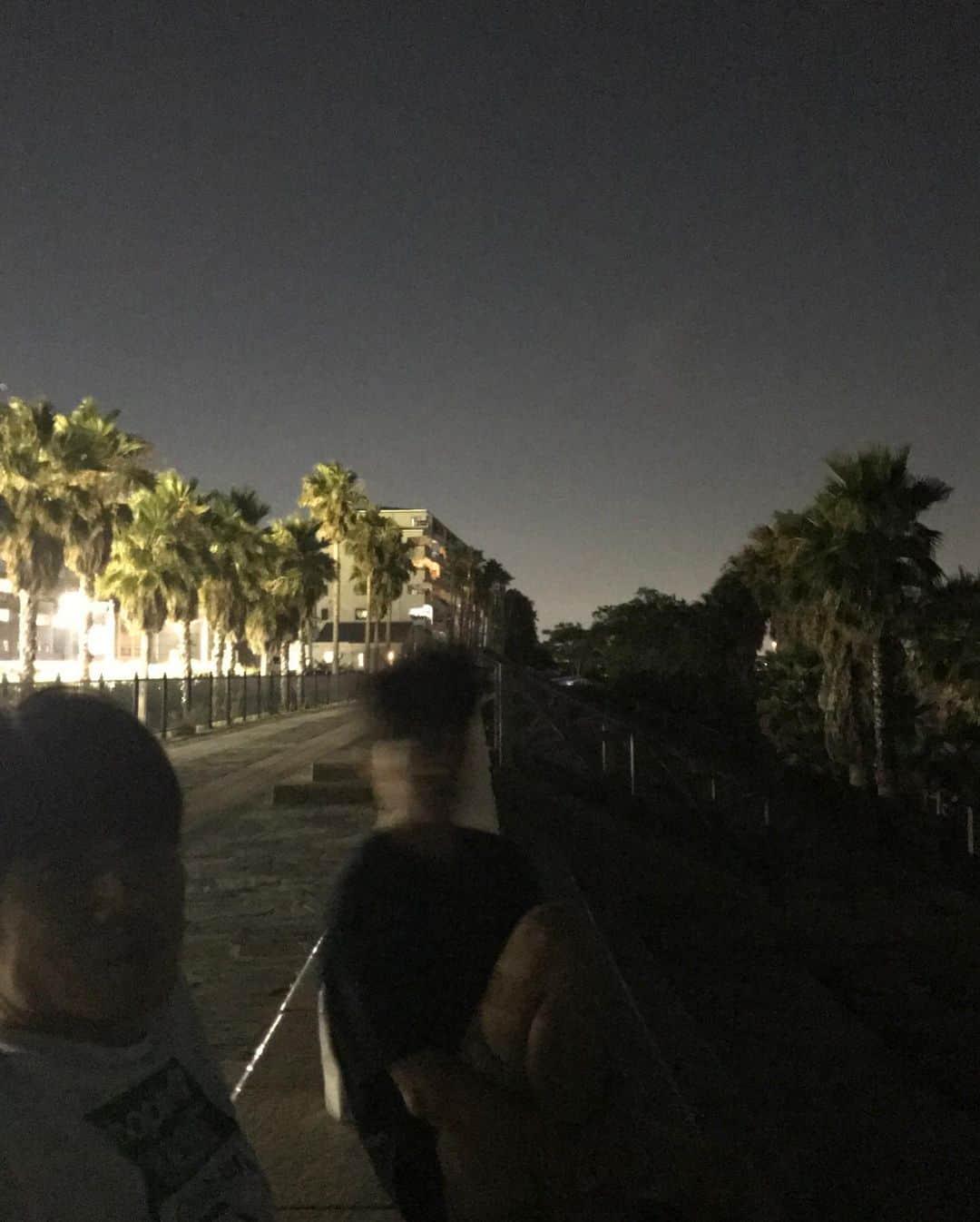 西野恭之介さんのインスタグラム写真 - (西野恭之介Instagram)「ウルフさんの浜辺で久しぶりに会えたわ。  #夙川アトム #浜辺のウルフ」7月31日 1時22分 - choplin_nishino