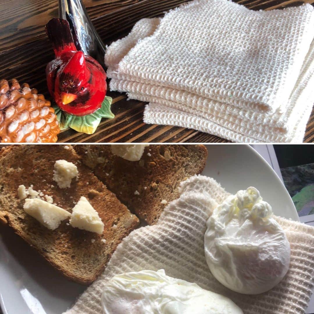 メリッサ・ジョーン・ハートさんのインスタグラム写真 - (メリッサ・ジョーン・ハートInstagram)「So today’s eco friendly tip is to buy these awesome bamboo cloths that replace paper towels. I’ve been using these for about 2 months and have loved them! Super absorbent and work great for my poached eggs in the morning and especially for little dirty hands full of ketchup and syrup at each meal. I still use paper towels but not nearly as much! I found mine on amazon.」7月31日 2時00分 - melissajoanhart