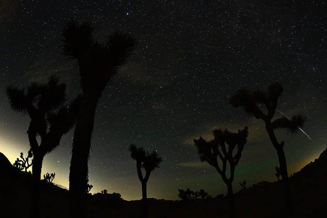 NikonUSAさんのインスタグラム写真 - (NikonUSAInstagram)「Are you ready to capture the #DeltaAquariids and #AlphaCapricornids meteor showers tonight? If you’re new to #astrophotography, all you need is to your go-to Nikon gear, a tripod and tips from #Nikon100 photographer @dianarobinsonnyc – get them by tapping the link in our bio! Then, share your own photos from tonight’s #meteorshower with #NikonNoFilter for a chance to be featured! 📸: @pva_1964 with the #D5, AF-S FISHEYE #NIKKOR 8-15mm f/3.5-4.5E ED lens.」7月31日 2時18分 - nikonusa