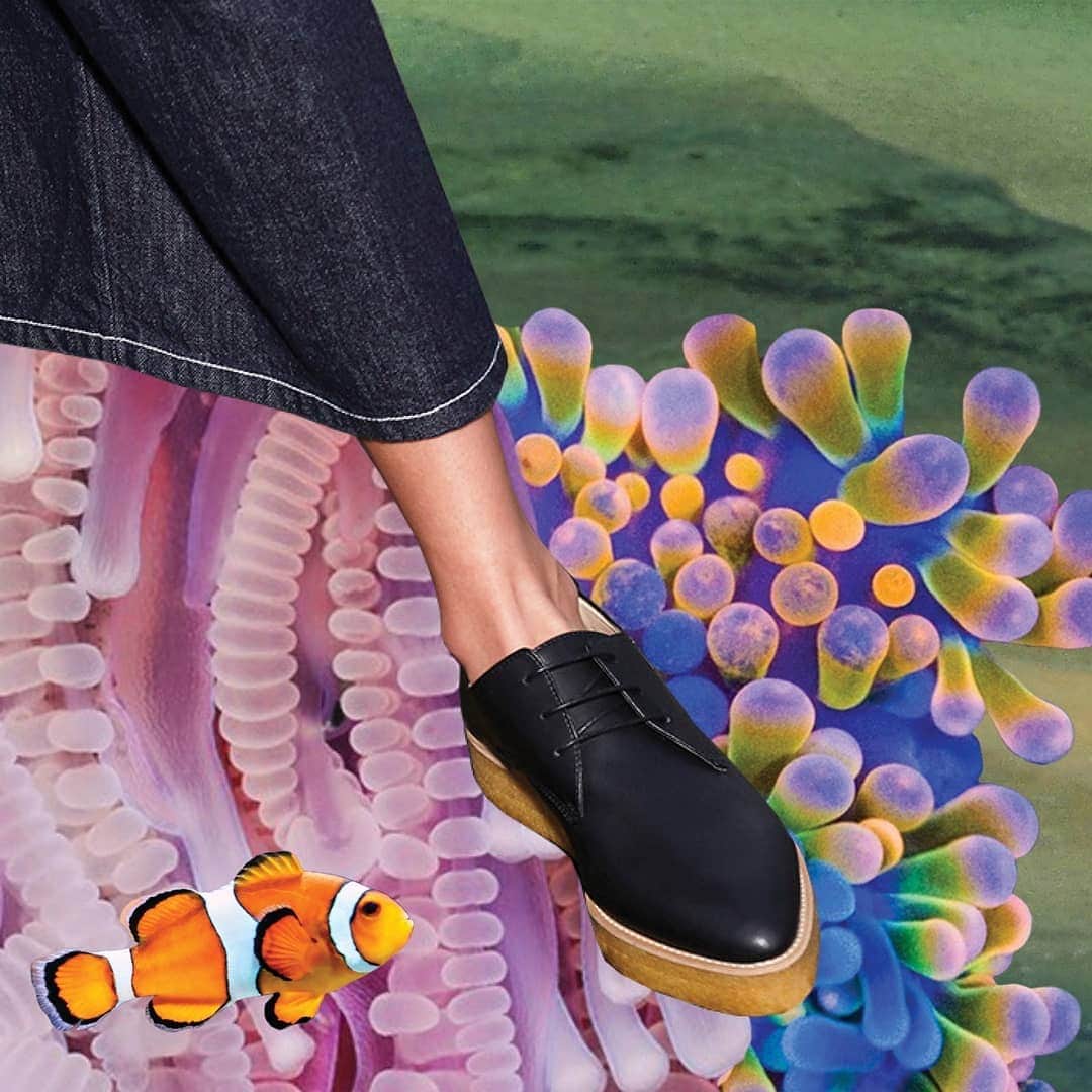 シドニー・ブラウンのインスタグラム：「Crepe Derbies - available now! ⠀⠀⠀⠀⠀⠀⠀⠀⠀ #timeless #classicstyle #genuinelynotleather #beautifulshoes #derby #shoesoftheday #shoesaddict」