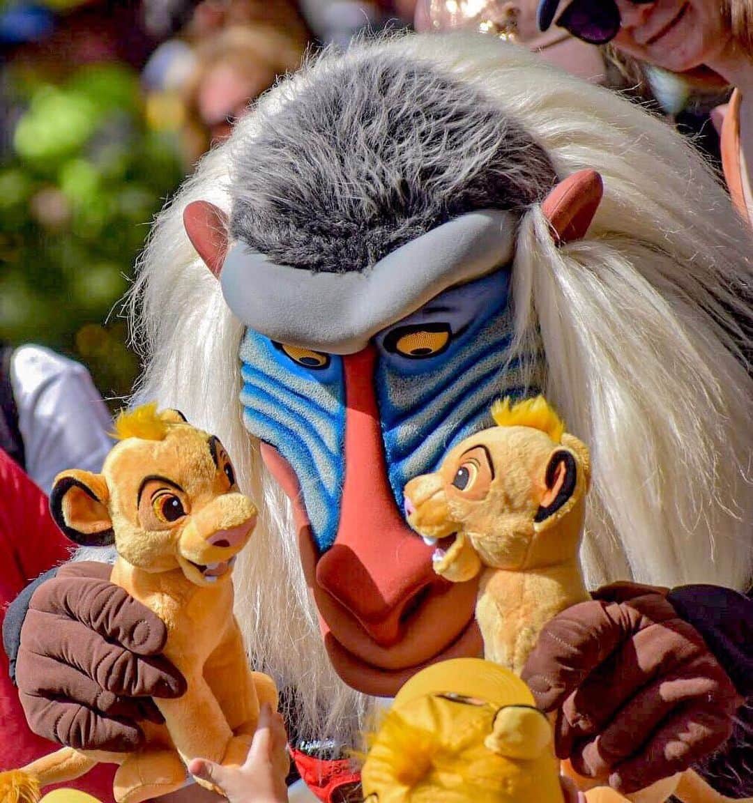 Walt Disney Worldのインスタグラム：「Can you feel the love tonight? 🎶🦁 #LionKingCelebration #DisneysAnimalKingdom (📷: @solo___photographer)」