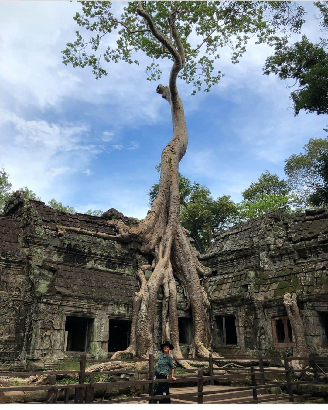 梨花 さんのインスタグラム写真 - (梨花 Instagram)「カンボジア🇰🇭 アンコールワットの近くに存在する 世界遺産にも登録されている #タプロームという遺跡。 その姿はほとんどが破壊し、 巨大な樹木🌳に力強く踏み潰され、 太い木の根っこと遺跡が絡み合い、 もう、その原型を想像すら難しいような珍しい遺跡‼︎ 神が宿る木とも言われているそうな☺️」7月31日 2時55分 - rinchan521