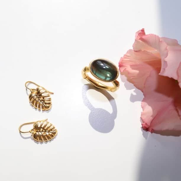 ジュリーサンドラゥさんのインスタグラム写真 - (ジュリーサンドラゥInstagram)「Bamboo Wisdom ring and Philo Leaf Earrings 💕⠀⠀⠀⠀⠀⠀⠀⠀⠀ .⠀⠀⠀⠀⠀⠀⠀⠀⠀ .⠀⠀⠀⠀⠀⠀⠀⠀⠀ .⠀⠀⠀⠀⠀⠀⠀⠀⠀ #juliesandlau #juliesandlaujewelry #jewelry #bamboo #ring #earrings」7月31日 3時53分 - juliesandlau