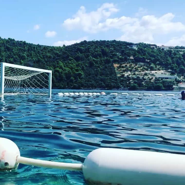トニー・アゼベドのインスタグラム：「My new fav video of me and Niksa teaching while the kids watch! @prijezbabeach #waterpoloisland」