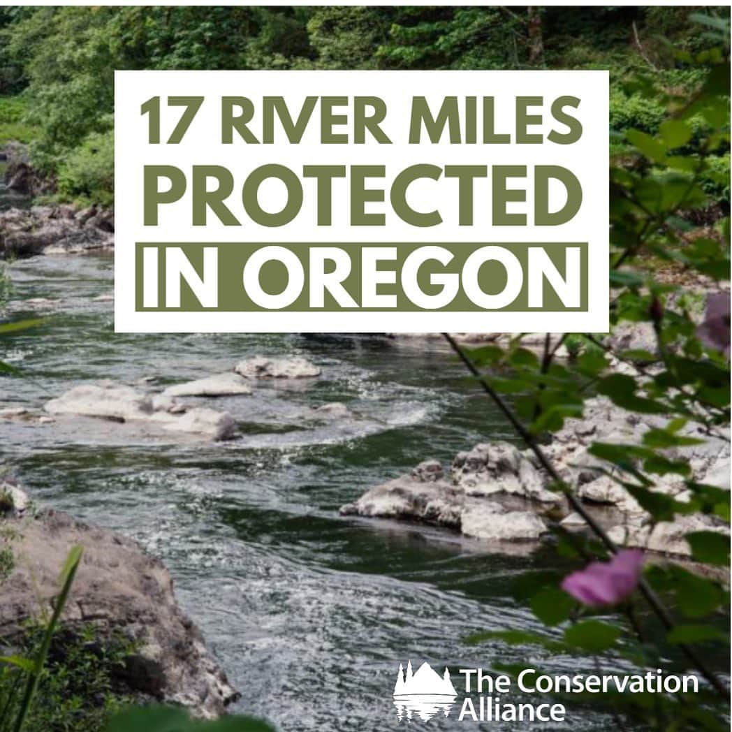 ケルティさんのインスタグラム写真 - (ケルティInstagram)「Oh, heeeyy! 17.5 miles of Oregon's Nehalem River is now a State Scenic Waterway. The designation prohibits new dams and ensures protections within a quarter mile of the river’s bank. The river is a popular destination for fishing and kayaking. We're proud to support this project! #ProudMember #WeKeepItWild #Keltybuilt @conservationalliance」7月31日 6時42分 - keltyusa