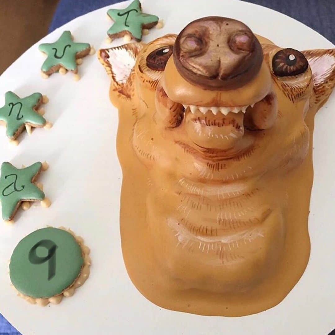 Tuna {breed:chiweenie} さんのインスタグラム写真 - (Tuna {breed:chiweenie} Instagram)「Tomorrow is Tuna’s 9th birthday so I’m reposting this EPIC cake of Tuna’s face that @dogcakesfordogs made for him a couple years ago for #tunartuesdays. I just changed the age to bring this up to date. #tunainterpretations」7月31日 6時36分 - tunameltsmyheart