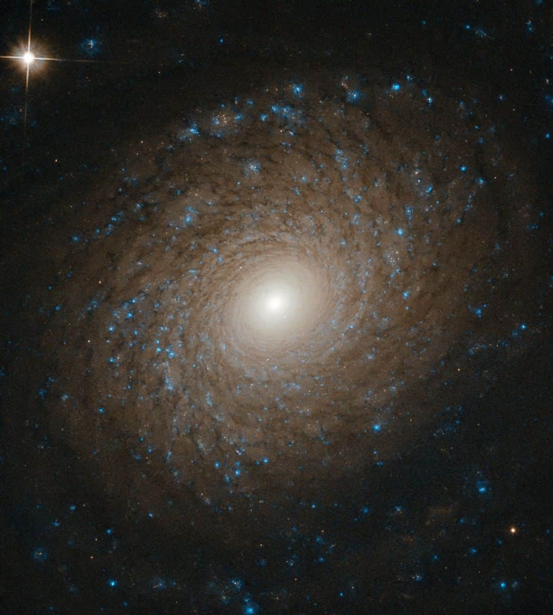 NASAさんのインスタグラム写真 - (NASAInstagram)「The intricate, nearly flawless symmetry on display here reveals the incredible complexity of spiral galaxy NGC 2985. This @NASAHubble image shows how tightly wound spiral arms widen as they whirl outward from the galaxy’s bright core, slowly fading and dissipating until these majestic structures disappear into the emptiness of intergalactic space, bringing a beautiful end to their starry splendor.  Credit: ESA/Hubble & NASA, L. Ho  #flawless #galaxy #space #science #astronomy #nasa」7月31日 7時05分 - nasa