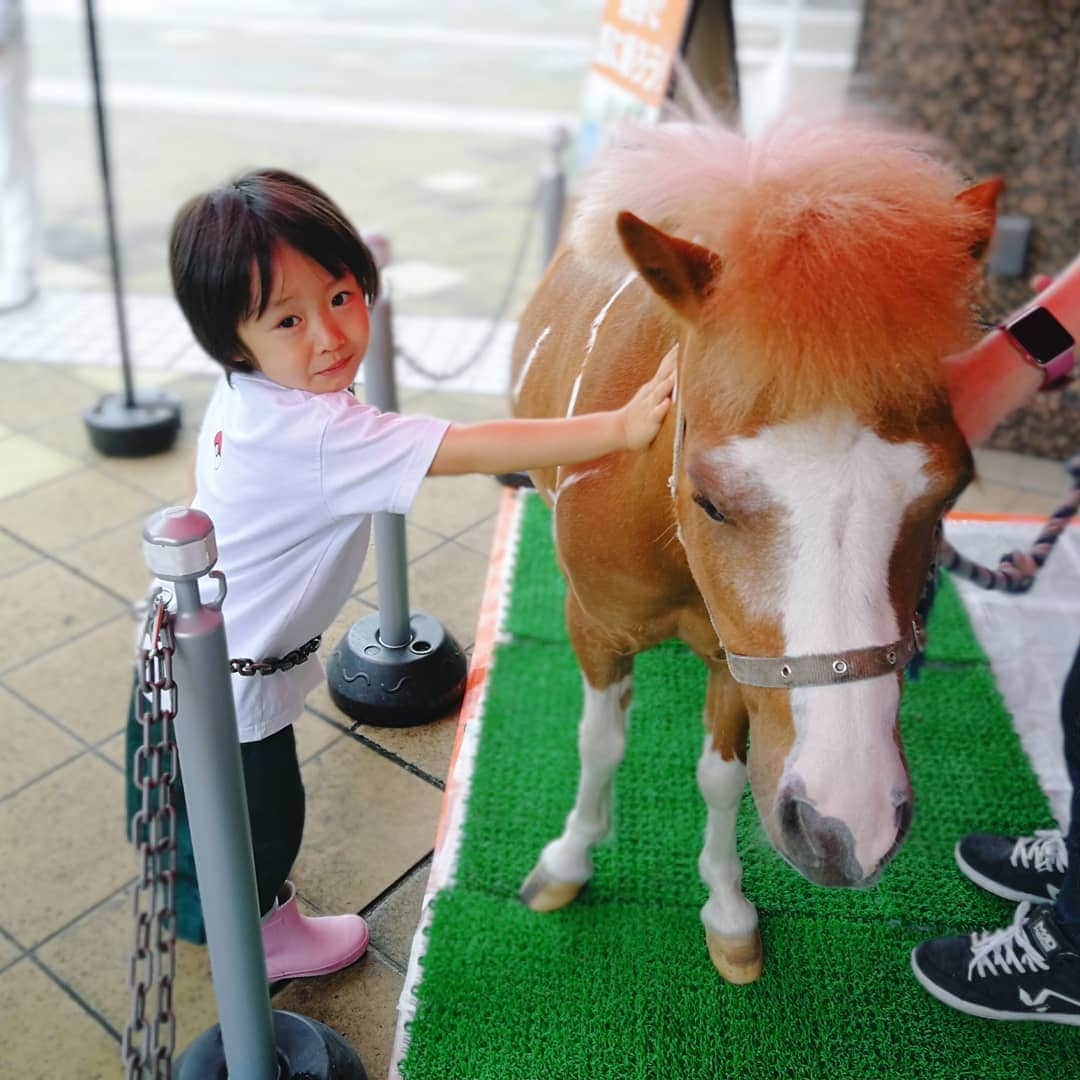 清野紗耶香さんのインスタグラム写真 - (清野紗耶香Instagram)「ポニー🐎触らせてもらったよ( ´ー`) . . 実はちょっと怖がってるこーた( ´ー`) . . 大人しくていいこなポニー🐎でした。 . .  #まめちょびん#4歳児 #ママライフカメラ #mamagirl  #ハロー赤ちゃん探検隊19年8月 #こどもと暮らす #ままのて #はぐピク #親バカ部男の子  #子育てぐらむ#キッズモデル#ママリ#ママタス#コドモノ #キズナ#コノビー#kids_japan #mamano #comona #ikumama #コドモダカラ #mamanoko #子どもとお出かけ  @petitbateau_jp #プチマトロ#プチバトー #好奇心旺盛マトロ」7月31日 8時11分 - seino_sayaka