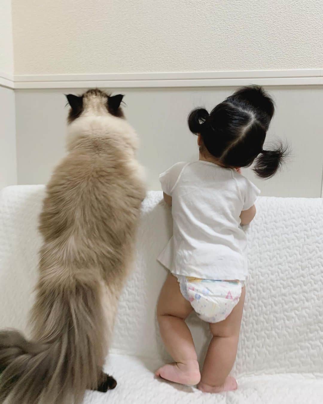 plumeのインスタグラム