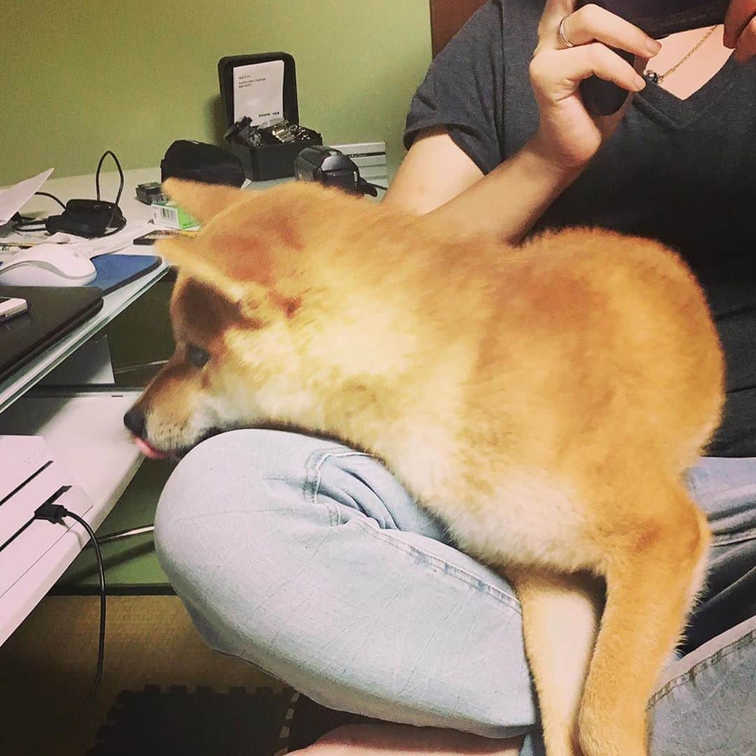 たっくーのインスタグラム：「ゴンと一緒にゲームしました」