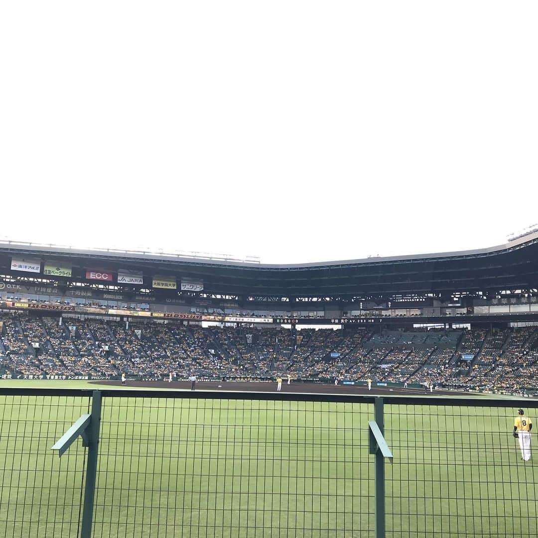 中野耕史のインスタグラム：「試合開始！ #阪神タイガース #甲子園」