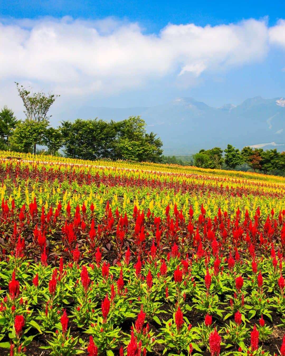 楽天トラベル のグルメインスタ