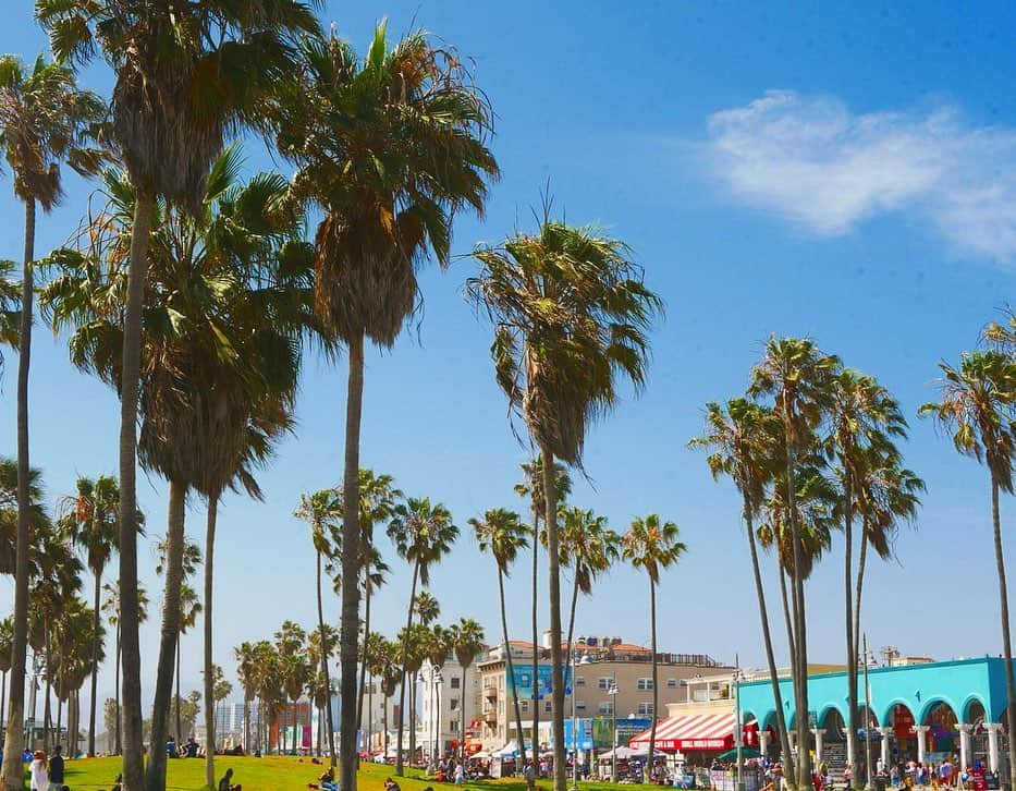 一木美里さんのインスタグラム写真 - (一木美里Instagram)「🛹🌴𝚅𝙴𝙽𝙸𝙲𝙴🍭🎨🏖 海辺の街で育つのってどんな気持ちだろうね〜と 親友と話しながら歩きました🏝サンタモニカとはまた違ったローカルな雰囲気とか スケートボードやアートを描くスプレーの音、海の音とはしゃぐ人の声が混じった素敵な場所♡⃛ #MillyLosAngeles#LosAngeles#VeniceBeach#trip#travel」7月31日 18時38分 - misato_ichiki