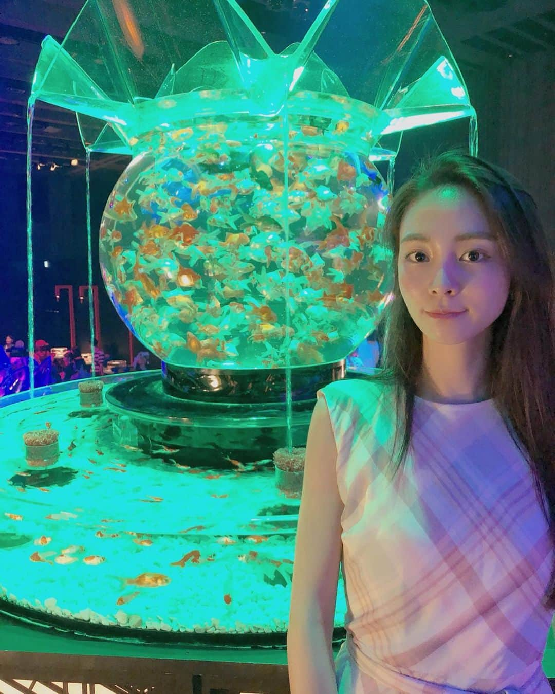 利水翔さんのインスタグラム写真 - (利水翔Instagram)「. アートアクアリウム🐠 . 初めて見に行ったんですが とっても綺麗でした🥺❤️ . 色んな形の水槽に 色んな種類の金魚が🥳💕 . 音楽も和な音楽が流れていて とても幻想的な空間でした😆✨ また行きたいなぁー🌈 . . . #ootd #happy  #enjoy #smile #goldfish #aquarium  #japan #アートアクアリウム2019  #金魚アートアクアリウム  #金魚 #アクアリウム #利水つばさ #釣りガール #ファインダー越しの私の世界」7月31日 18時31分 - tsubasa.toshimizu