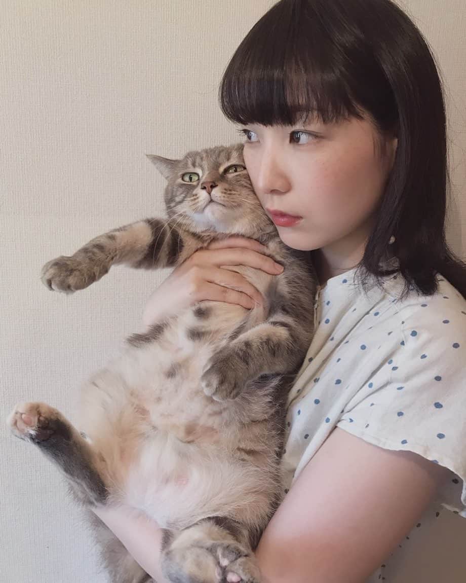 真山朔のインスタグラム：「🐈」