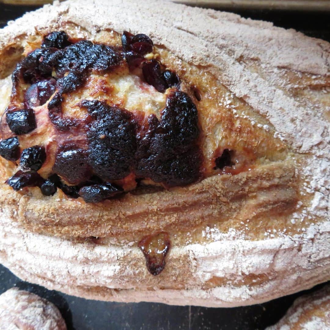 魔女菅原のグルメインスタ