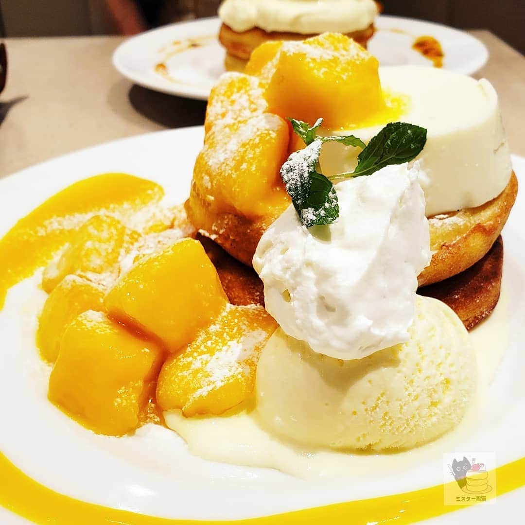 ミスター黒猫（黒猫仙人）のグルメインスタ