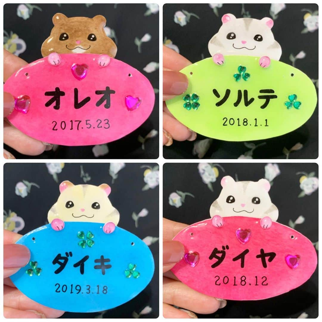 hamster_mocoのインスタグラム