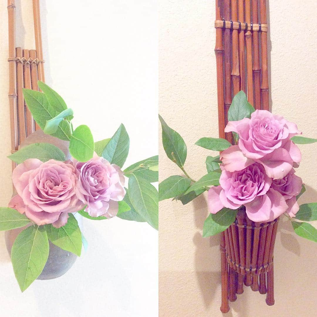 祥吉さんのインスタグラム写真 - (祥吉Instagram)「この季節 お花が長持ちしなくて薔薇を買うのは躊躇してしまいますが おまけにそっと入れてくださってた アンティーク色した素敵な薔薇 一気に華やぎました ありがとうございます #播州赤穂#赤穂#赤穂御崎#赤穂温泉#赤穂温泉祥吉#潮彩きらら祥吉 #祥吉#今日のお花#花#flower #薔薇#バラ#ばら#アンティーク色#花を飾る#華やぐ」7月31日 13時59分 - akoshokichi