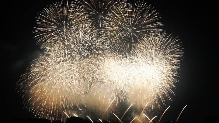 R!Nのインスタグラム：「先日見てきた花火。 上京して初めて見た花火大会に数年ぶり行ってきました。  花火の一瞬の瞬きと 消えていく儚さの美しさに ただただ魅了されました。  初めて有料シートで見たけど、 のんびり座りながら ビールを飲んで🍺 花火を堪能するのも大人の楽しみ方だなぁと思いました。  歳を重ねてくごとに花火の楽しみ方も変わって、益々夏が好きになった気がする。  #花火 #fireworks #花火大会 #立川」