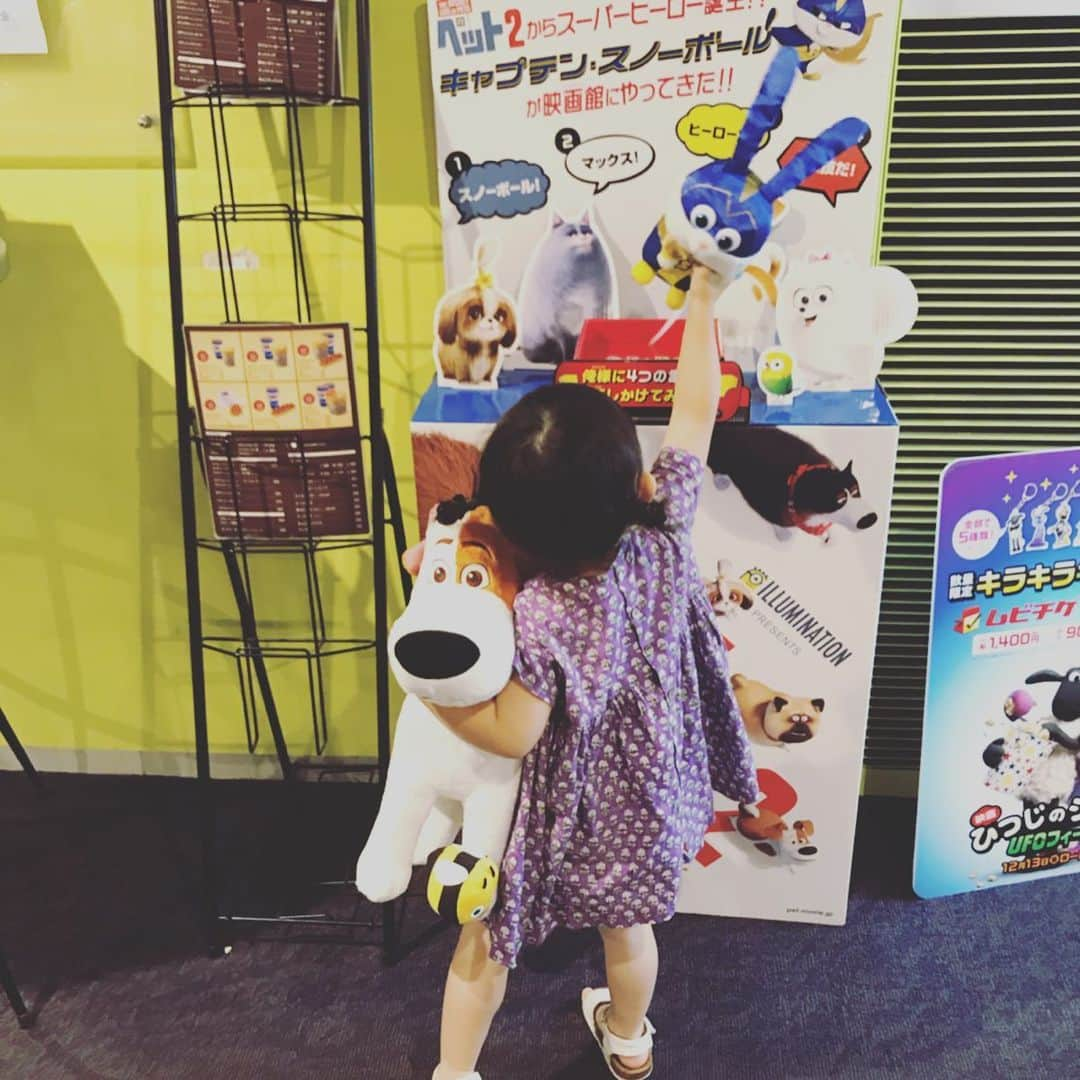 たまねぎさんのインスタグラム写真 - (たまねぎInstagram)「. . ペット2 みてきました！ まめちゃん、無事 映画デビューしました！ みなさん、アドバイス等ありがとうございました😊 . りっくんと一緒に行けないので、代わりにマックスを連れて行こう！とまめちゃんが言うので、マックス連れて行きました(^ ^) . まめちゃんが途中、眠たくなりそうになったのを救ってくれたのは、ポップコーンでした（笑） . 大変だったことは、椅子の高さ。 補助マットを1枚使っても前の座席の背もたれが邪魔で見えず😅 結局3つ重ねて使いました😅 それ以外は、なにも問題なく、お利口さんにみていました(o^^o) . まめちゃんは、お利口さんでしたが、私がダメでした😭 . 内容が、まるで、まめちゃんとりっくんを見てるようで、泣けました。 「マックスだぁ〜い好き」が、「りっくん、だぁ〜い好き」って聞こえて・・・ 泣く映画ではないのに、胸がいっぱいになっちゃって泣けました。 笑わされても、まさか、泣かされるとは思ってもみませんでした😅 . ※映画館の中での撮影は、映画が始まる前のみという事で撮影許可とってあります。 . 1、2枚目は、お家に帰ってから、くぅさんに、ペットを見てきた感想をお話ししているところです（笑） . . #standardpoodle #dog #lovedogs #poodlesofinstagram #スタンダードプードル #大型犬と子供 #poodle #dogstagram #east_dog_japan #いぬのいる生活 #もふもふ部 #わんこ部 #子どもと犬  #kidsanddog #ママリ #キズナ #コドモノ #いこーよ #いぬのきもち #犬と暮らす #いぬなしでは生きていけません #3歳 #terahana_made #pecohug #映画ペット2 #マックス #等身大キャラクター #初映画」7月31日 14時15分 - tamanegi.qoo.riku