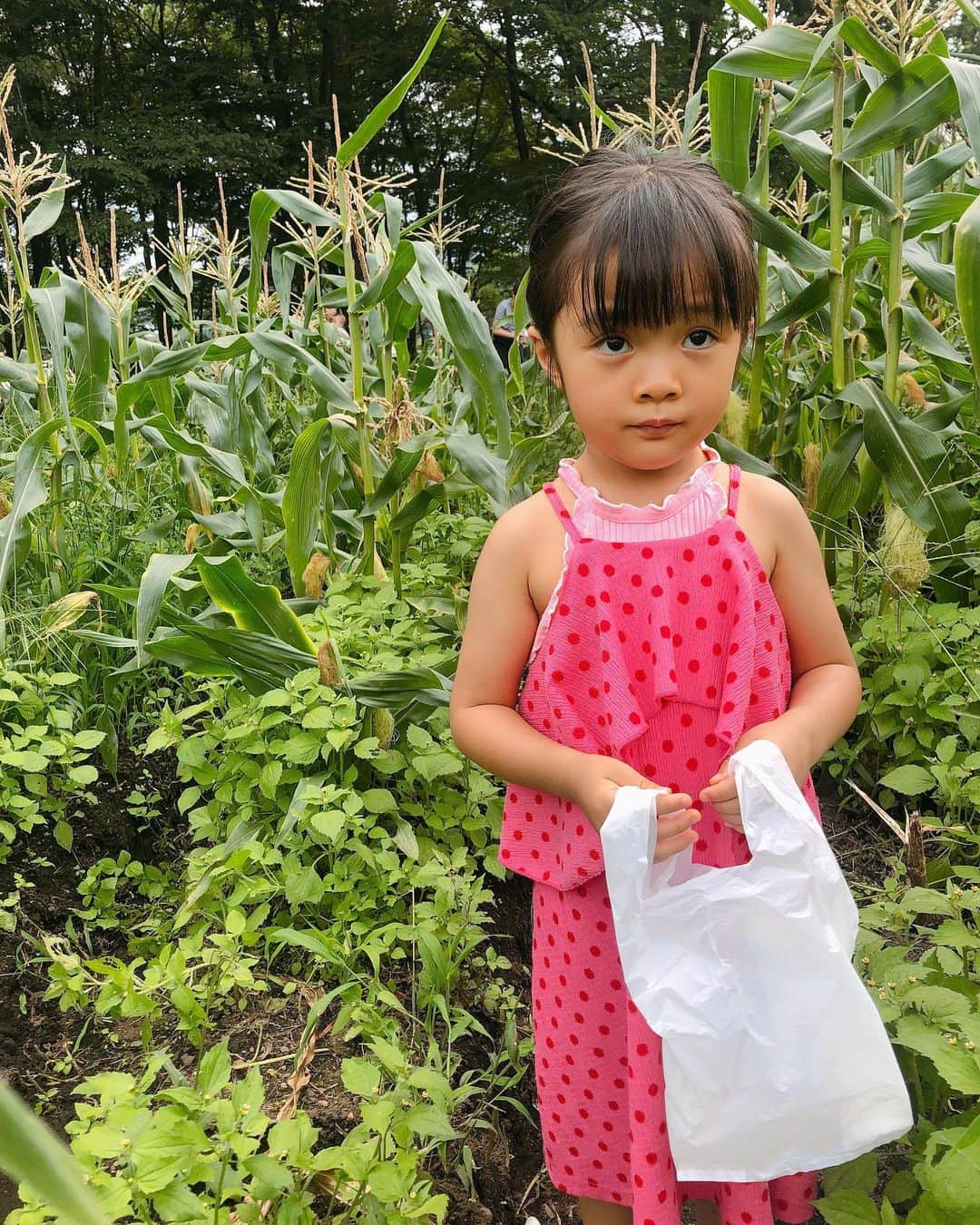 小水彩のグルメインスタ