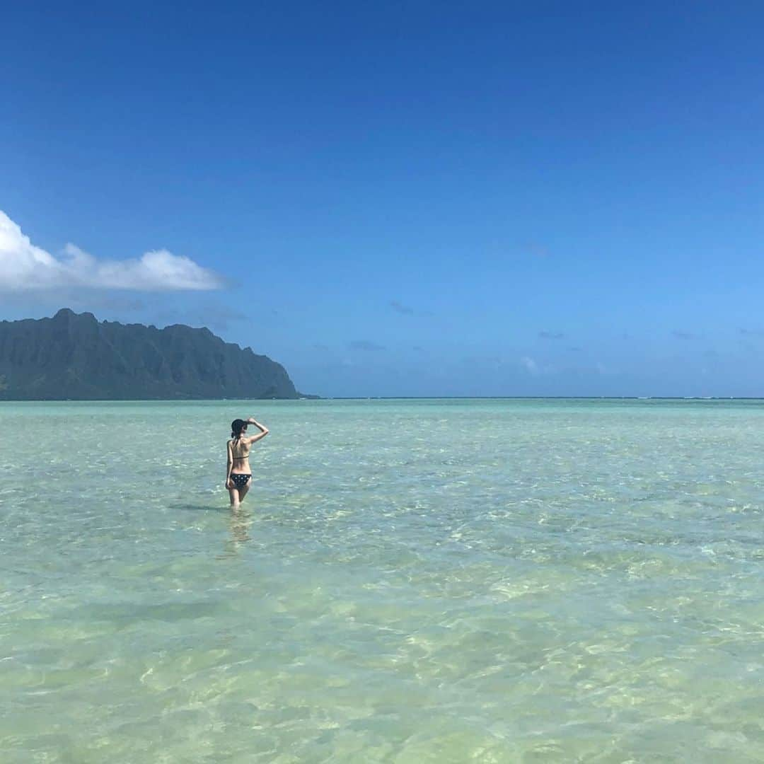 kiyomi medeirosさんのインスタグラム写真 - (kiyomi medeirosInstagram)「先日のサンドバー🏝🐠🐬 * この日は本当に良いお天気で☀️海がキラキラ輝いてた。 大自然に囲まれてのリラックスタイム。全てを空っぽににしてくれるハワイが本当に好き😌❤️❤️ * * #sandbar#cruising#サンドバー#クルージング#fashion#outfit#instagood#instalike#instafashion#ootd#cordinate#style#ファッション#コーディネート#コーデ#ママコーデ#バケーション#hawaii#hawaiilife#ハワイコーデ」7月31日 15時01分 - kiyomimedeiros