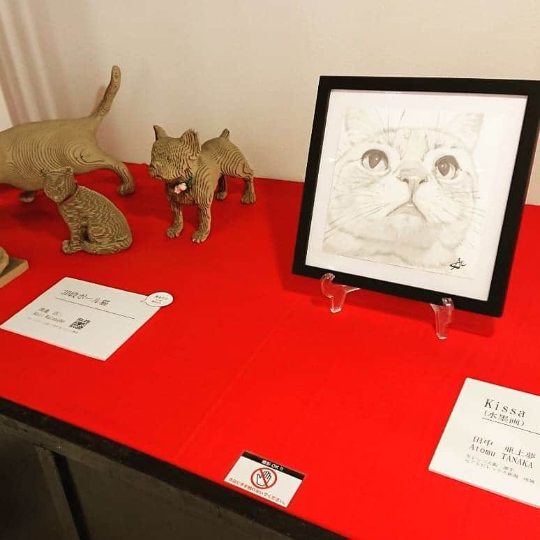 伊勢みずほさんのインスタグラム写真 - (伊勢みずほInstagram)「ねこがかわいいだけ展💘  ニャーガタの前でパチリ💘  温泉入ったみたいに癒されるイベントだったにゃー😍😍😍 #ねこがかわいいだけ展  #猫部 #万代 #癒し #イベント #ねこすたぐらむ #にゃんすたぐらむ #ニャーガタ #にゃんこ #ぬこ #おっぽ #里親探しねこカフェおっぽ #気まぐれねこマルシェ #もふもふ」7月31日 15時59分 - isemizuhoo