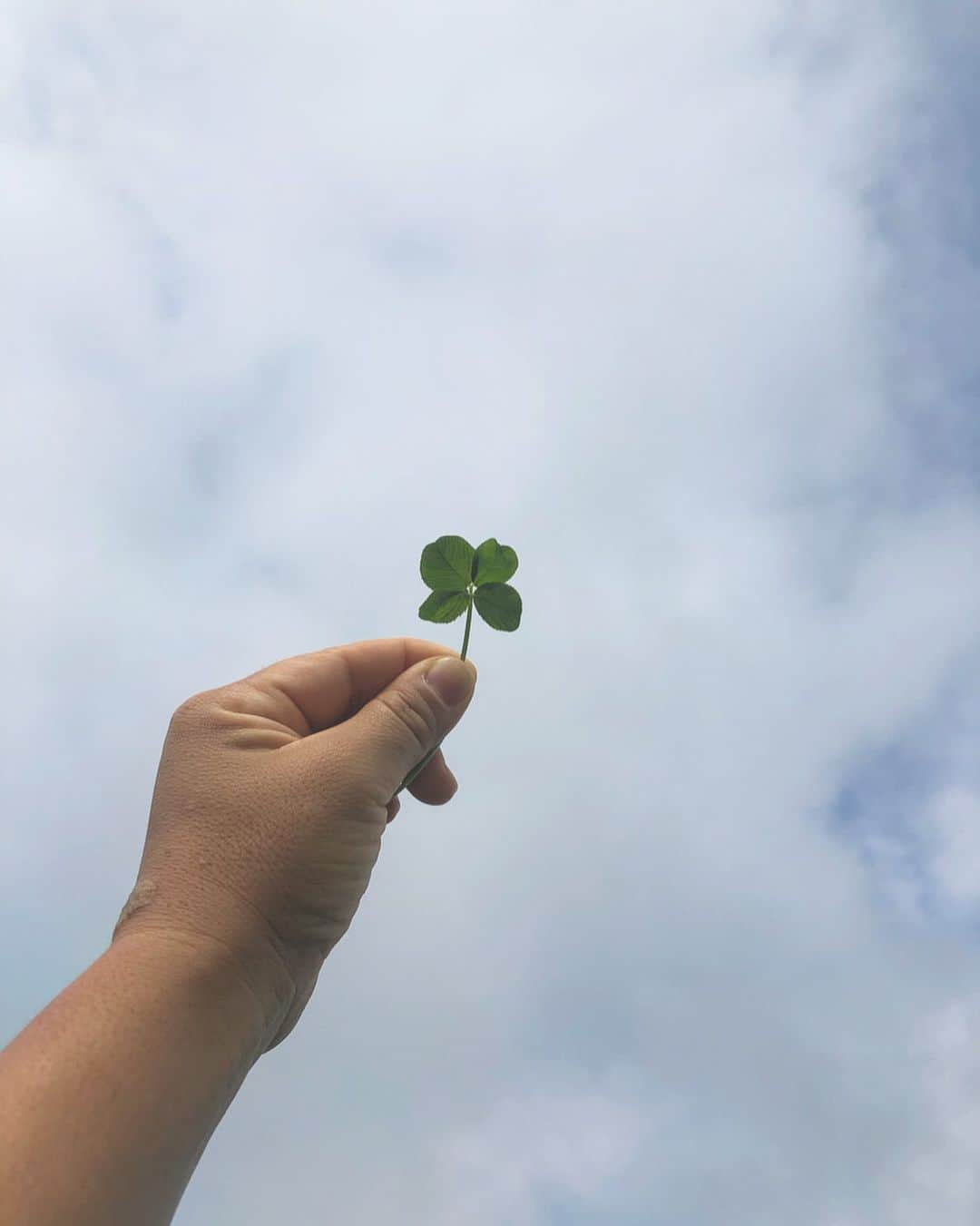 シン・ジエさんのインスタグラム写真 - (シン・ジエInstagram)「행복도☘️ 행운도🍀」7月31日 16時09分 - jiyai_shin