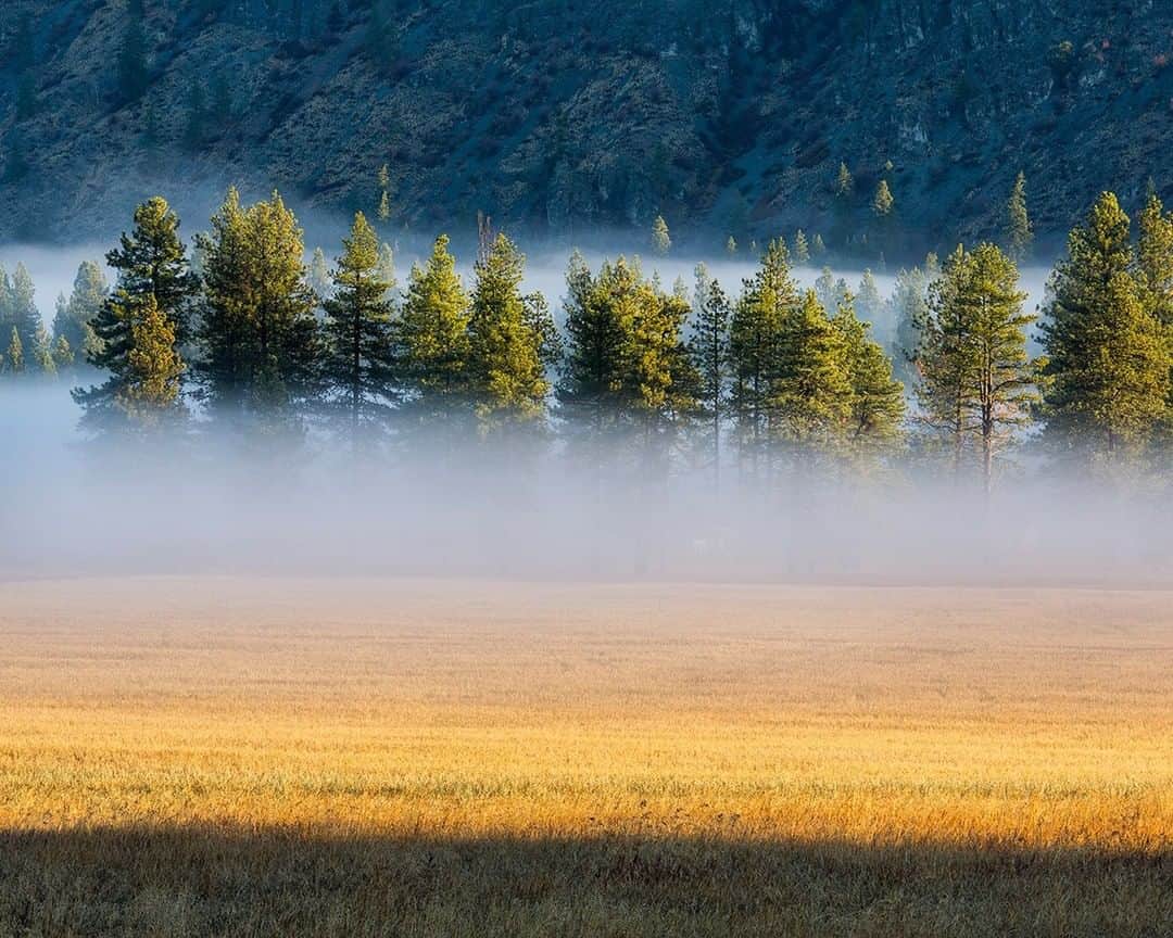 National Geographic Travelさんのインスタグラム写真 - (National Geographic TravelInstagram)「Photo by @stephen_matera | Fog rolls through the Methow Valley on a late fall morning. In between winter and summer seasons in the Methow is a quiet time of sublime beauty. Soon winter will arrive and the Nordic skiing and fat biking will be in full swing on the 150km of groomed Nordic and 20km of groomed fat biking trails. Follow me @stephen_matera for more images like this from Washington and around the world. #methowvalley #autumn #fog」7月31日 16時02分 - natgeotravel