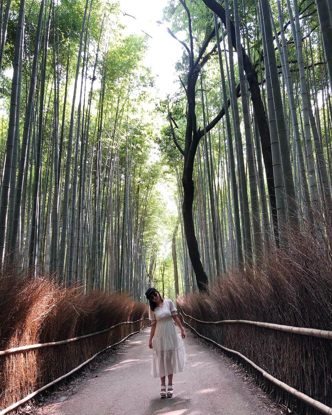 橘まりやさんのインスタグラム写真 - (橘まりやInstagram)「先々週の奈良競輪の前に、1日早く京都に前乗りして、京都観光してきました♡ 嵐山にある竹林の小径をお散歩したよー！ めっちゃ暑かったのに竹林の中はすんごく涼しかったぁ✨✨✨ 綺麗だったなぁ☺️🎶 #京都#嵐山#竹林の小径#観光」7月31日 16時31分 - mariya_tachibana_official