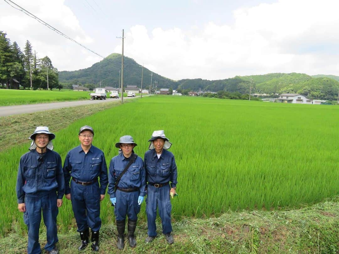 白鶴酒造株式会社のインスタグラム