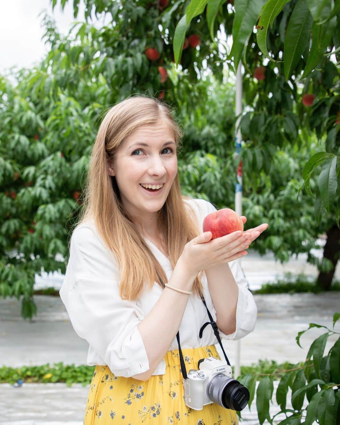 Rediscover Fukushimaさんのインスタグラム写真 - (Rediscover FukushimaInstagram)「Momo season! 🍑🍑🍑 taken at Marusei Orchard, Fukushima City」7月31日 17時27分 - rediscoverfukushima