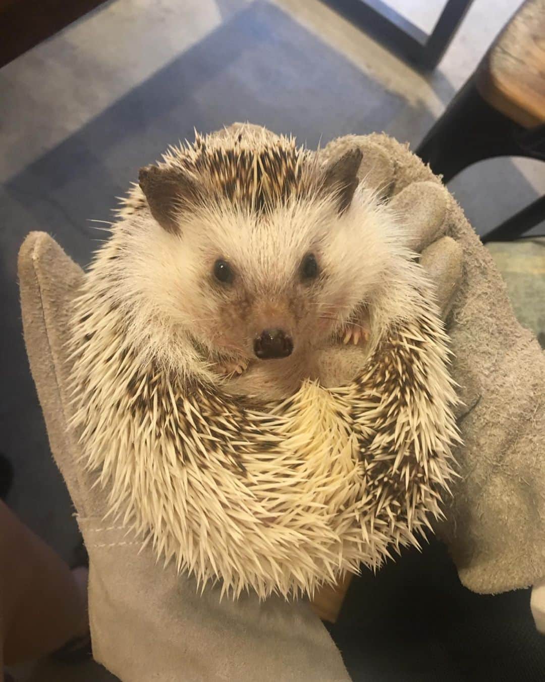 瀬奈ユウリのグルメインスタ