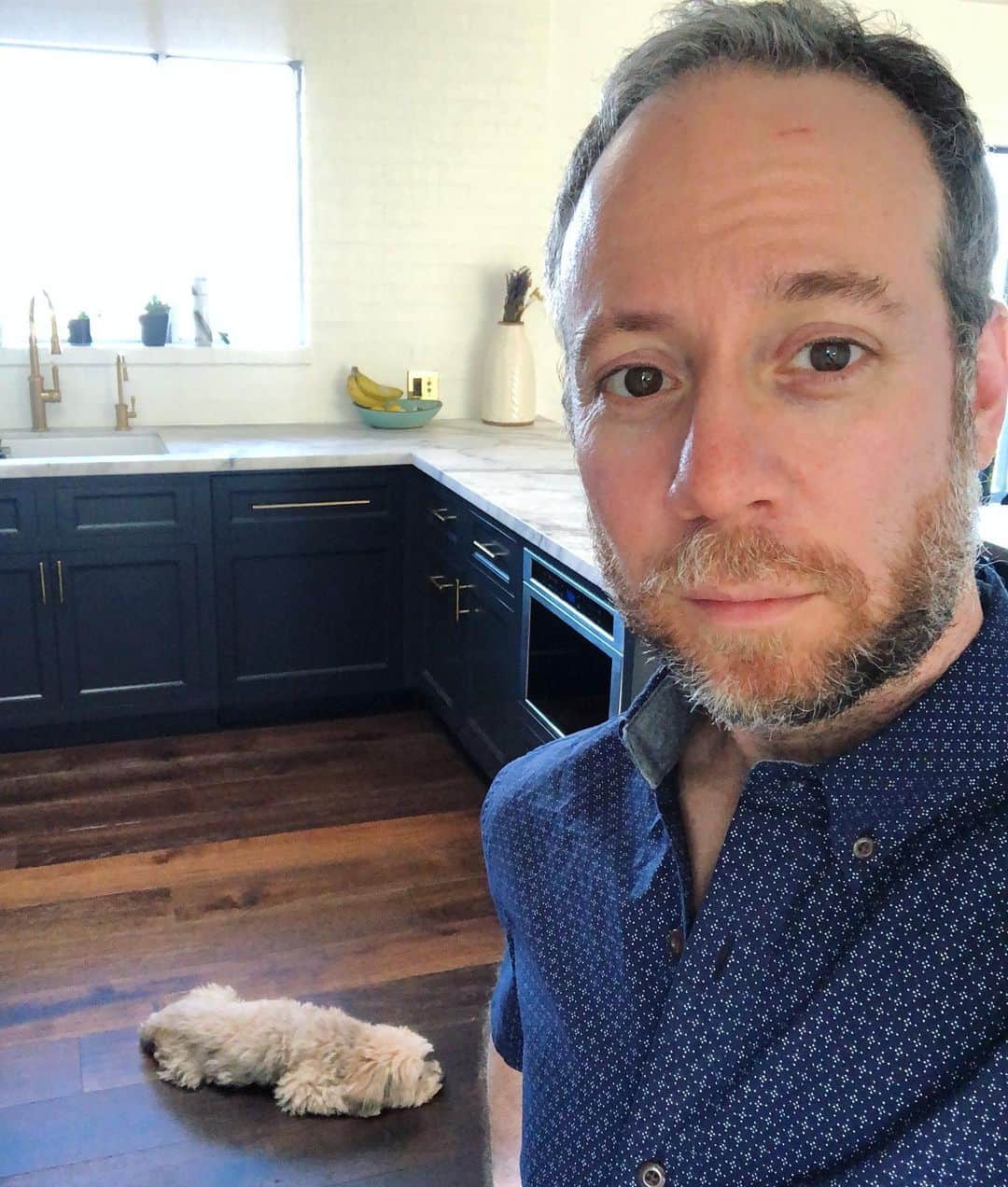 ケヴィン・サスマンのインスタグラム：「That cut on my forehead? From opening a bag of dog food.」