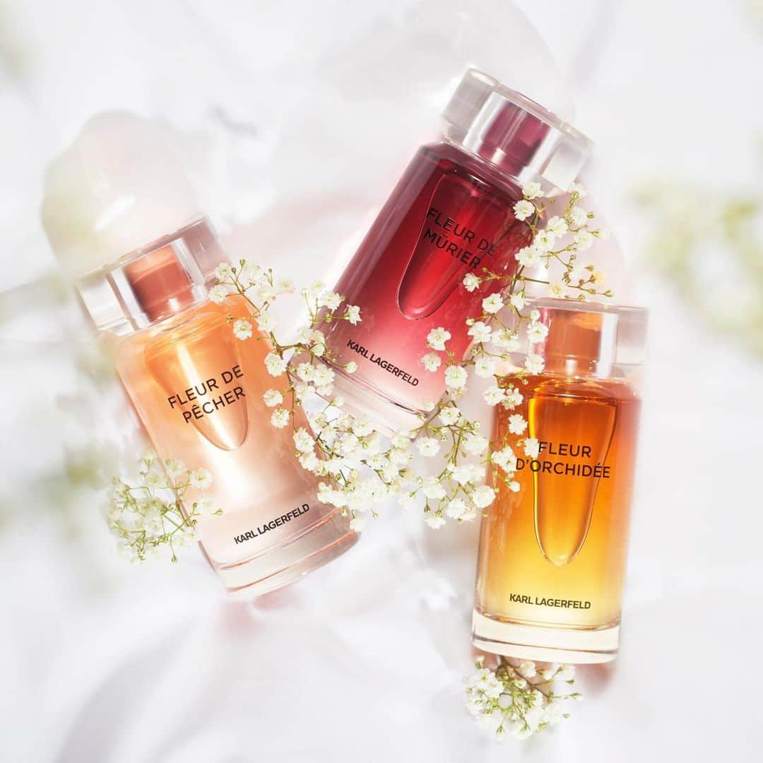 カールラガーフェルドさんのインスタグラム写真 - (カールラガーフェルドInstagram)「Fruity, floral or spicy? Choose between three fresh perfumes for everyday wear. #KARLLAGERFELD」7月31日 19時58分 - karllagerfeld