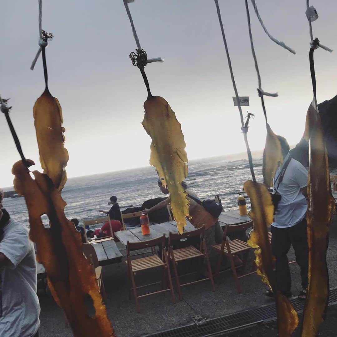 谷藤博美さんのインスタグラム写真 - (谷藤博美Instagram)「海と日本プロジェクト！ コンブを知って積丹の海を楽しもう！  2日目の今日は 早朝の体操からスタート！  漁場に行って漁師さんにお話を聞く。 定置網のお掃除のお手伝い プランクトン採集 鰊御殿の見学 ウニの養殖場の見学 昆布のサンプリング採集 シーカヤック体験 海辺の探索 ウニとホタテの観察 海鮮BBQ.... ！ 全身で子供達と一緒に海の大切さについて学んでいます😊  まだまだ体験学習は続いています🏖  あと２つのプログラムを 頑張ったらみんな熟睡かな？  #久しぶりに海に入ったら水がとても冷たかった #海と日本プロジェクト  #海プロ #谷藤博美 #アナウンサー #北海道放送 #夏休みの思い出 #フィールドワーク #海 #山 #川 #昆布 #夏休みの大冒険 #ウニ #シーカヤック」7月31日 20時09分 - tanifuji_63
