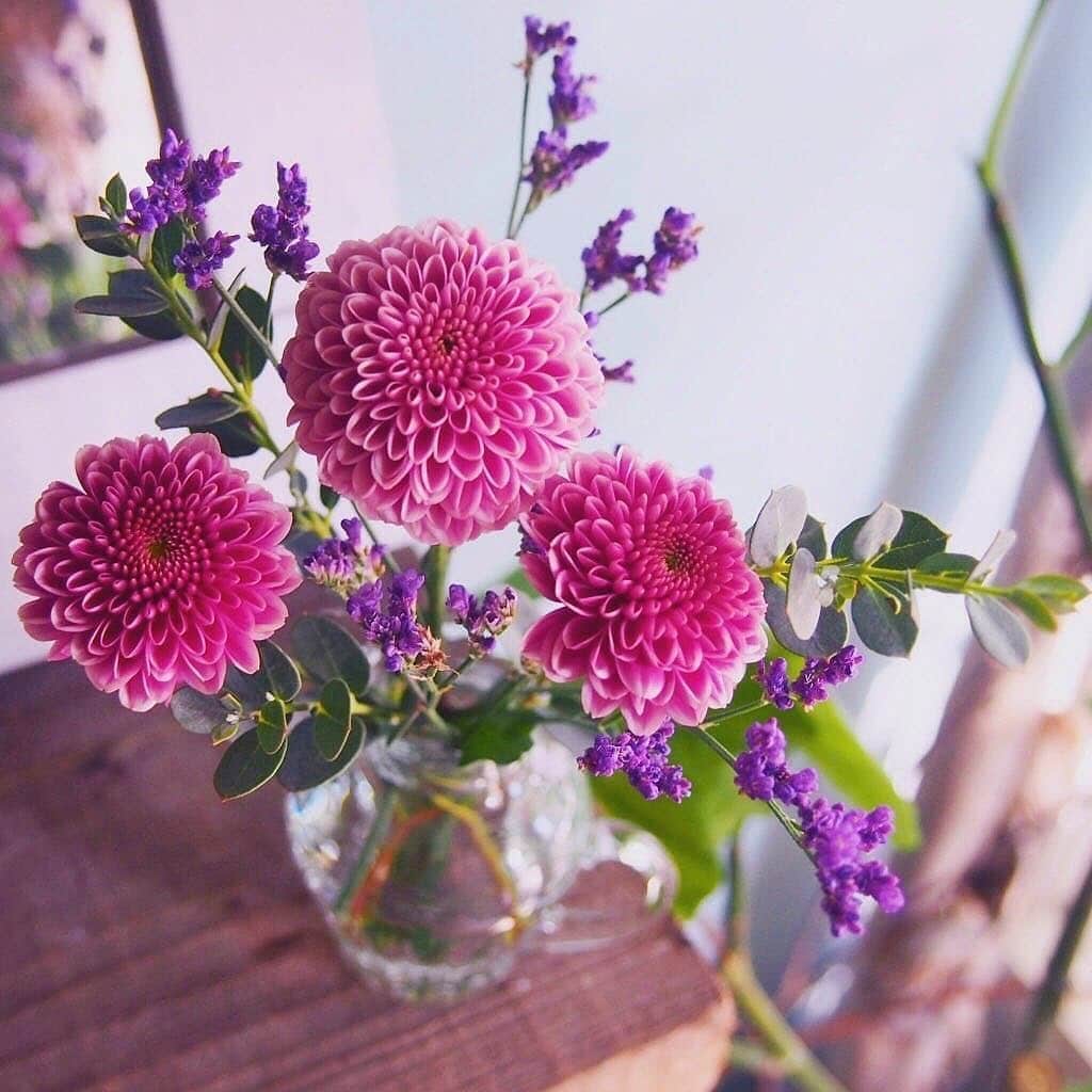 Bloomee LIFEさんのインスタグラム写真 - (Bloomee LIFEInstagram)「・ おうちを明るくしてくれる、ピンク色のお花🌸 ・ 可愛らしい丸いフォルムが特徴的なマムや、 優しい色合いの薔薇、 パッと花びらの開いたガーベラなど、 同じ色でも、お花によって個性は様々🌹💐 ・ 合わせる花瓶を替えてみても、 テイストの違いを楽しめますね✨ ・ Special Thanks Photo by @tami_73 @kochie530 @magu._.18 @rika_beedama ・ --- #おうちイロドリ 💐🎨---⠀ 梅雨のおうち時間を楽しもう♪ あなたの【お家にぴったりなオリジナルブーケを】プレゼント🎁 ・ Bloomee LIFEは、おうちを彩るお手伝いをします。 雨模様の日が続く時期こそ、 お部屋で充実したひとときを過ごしてみませんか？ ・ あなたのお部屋をシェアして、おうちの時間をもっと楽しみましょう✨ ・ 詳しくは"プロフィールトップのハイライト"をチェック👌 ・ 当選者の方にはbloomee LIFE 公式アカウントより DMにてご連絡させていただきます✉️🌸 ・ #bloomeelife#ブルーミーライフ#花のある生活#花好きな人と繋がりたい#おうち時間#花部#花写真#花が好き#花を飾る#暮らしを楽しむ#日々の暮らし#丁寧な暮らし#日々#お花のある暮らし#ナチュラル#素敵な休日#暮らしを整える#くらしのきほん#日々の暮らしを楽しむ#丁寧に暮らす#一人暮らしインテリア#ホワイトインテリア#シンプルに暮らす#ナチュラルインテリア#北欧インテリア#賃貸インテリア#フラワーベース#ミニブーケ#シンプルインテリア」7月31日 20時20分 - bloomee
