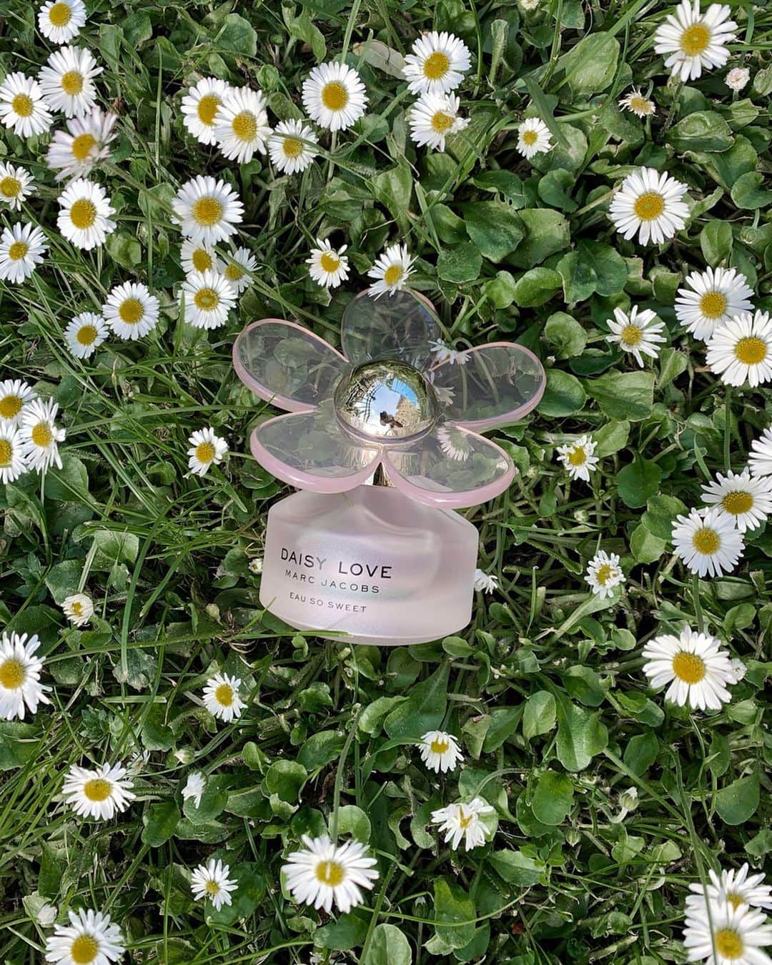 Victoria Törnegrenさんのインスタグラム写真 - (Victoria TörnegrenInstagram)「In paid collaboration with @marcjacobsfragrances : Will for sure associate this summer with this amazing scent - Marc Jacobs Daisy Love Eau So Sweet. And I had the best time meeting you guys during my M&G at @ahlens . See you again soon 🖤🌸 #daisylove」7月31日 21時17分 - victoriatornegren