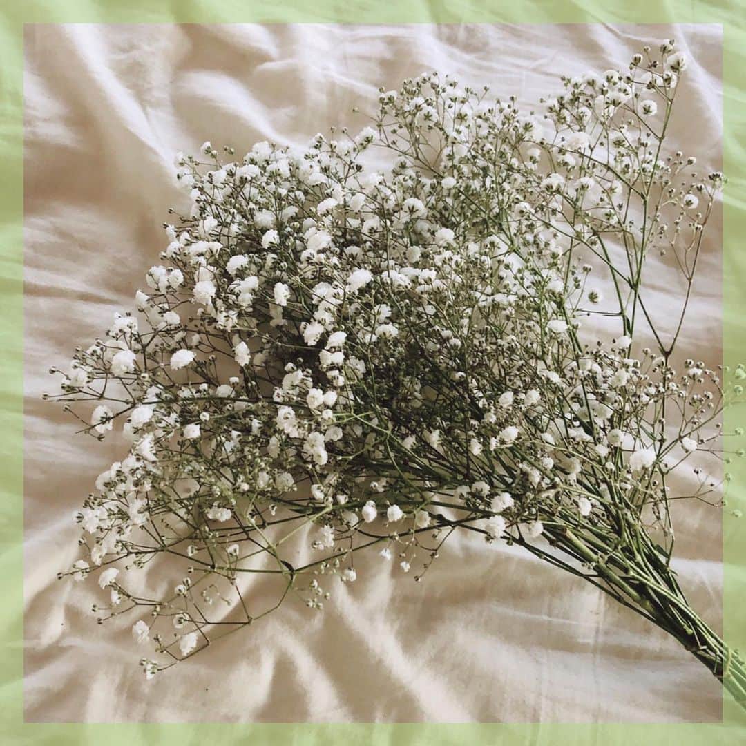 VOGUE GIRL JAPANさんのインスタグラム写真 - (VOGUE GIRL JAPANInstagram)「【本日のご褒美】猛暑で体もバテ気味。そんなときはベッドサイドにお花を飾ってみて✨寝る前、朝起きるときに好きな花を見てリフレッシュ。どんなときもトゲトゲせず優しくなりたいと思いを込めて（笑）、私はかすみ草をセレクトしました🍀 #本日のご褒美 #水曜日はお花の日 #flowerwednesday #todayslittlehappiness #VOGUEGIRLエディターのお気に入り #花のある生活 #花のある暮らし #かすみ草」7月31日 21時22分 - voguegirljapan