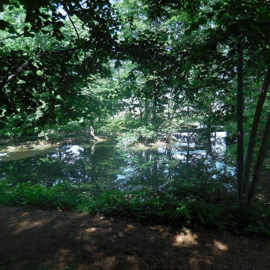 Momoさんのインスタグラム写真 - (MomoInstagram)「#六花の森 🌿 緑がいっぱいで のんびーり森林浴✨✨✨ 天気も良くて、空気も美味しくて、最高に気持ち良かった😌✨結構広くて、良い運動になるよ💭森の中には小さなギャラリーがいくつもあって休憩しながら周れるよ🌳 (飲み物を持参していくことをオススメする！！) ㅤㅤㅤㅤㅤㅤㅤㅤㅤㅤ とういも芝生の上で気持ち良さそうにしてた🌂💖 初めて見るもの沢山で良い刺激になったんじゃないかなぁ🧠✨ ㅤㅤㅤㅤㅤㅤㅤㅤㅤㅤ #六花の森 #六花亭 #中札内 #帯広 #北海道 #北海道旅行#hokkaido #nakasatsunai #obihiro #TOUIsaurus #TOUIsrus #生後8ヶ月 #8ヶ月baby #8ヶ月男の子  #男の子ベビー #2018年11月生まれ #2018_autumn_baby部 #ベビフル #ママライフ #コズレ #ママリ #mamagirl #赤ちゃんのいる生活 #赤ちゃんのいる暮らし  #ももえのママごと　#momoe旅」7月31日 21時45分 - m_o_m_o_e