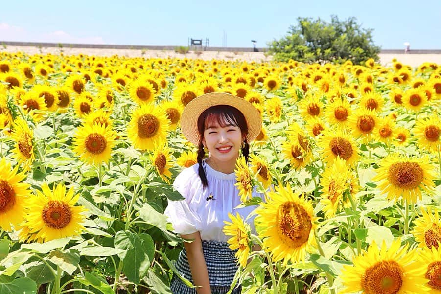 田島芽瑠さんのインスタグラム写真 - (田島芽瑠Instagram)「🌻数時間の夏休み🌻  柳川にあるひまわり園に家族で行ってきました📸  久しぶりの家族おでかけで気分は夏休み🥰 大好きな向日葵に元気もらっちゃった！ 今も昔も一番好きなお花です🌻  ひまわりパワーチャージ☀️ (お洋服は #snidel だよ)  #柳川ひまわり園 #ひまわり園 #ひまわり畑 #向日葵 #🌻 #夏 #麦わら帽子 #柳川 #一眼レフ #kissカメラ #kissx10 #カメラ女子  #eoskissx10」7月31日 21時59分 - meru_chan_official