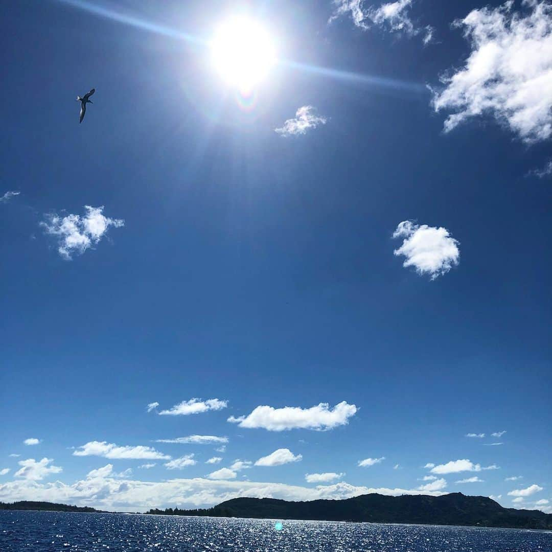 青木良文さんのインスタグラム写真 - (青木良文Instagram)「梅雨が明け、夏真っ盛り中、8月のはじまりは新月から！ 新しい月が始まる“1日”はスタートの気が強く、さらに新月と重なることで、気持ちも切り替えて、いろいろなことを一新するチャンスに！ 新しいものを卸したり、新しい場所に行ってみたり、フレッシュにスタートしましょう。  明日は昼の12時12分がジャスト新月で、獅子座の新月。  獅子座のテーマのひとつに“自己肯定感”があるそう。 目に見えないものが影響を持つとされる新しい時代に、大切なのは見た目よりも印象だったり。。 自己肯定感も、実は印象を左右する大切なテーマのひとつかもしれません。  そして獅子座の守護星は太陽だそうなので、夏の太陽の恵みを感じて、パワーアップ！  気が動くとされる元年もあと5カ月。 やりたいことがあったら元年パワーを味方に、軽やかに、アクティブに！ いまやらないと、あっという間に元年も終わってしまいそうです。  明日は、自己肯定感を意識してみたり、やりたいことを改めて考えみて、実行計画を立てたり。。 暑い夏を堪能しながら、新月と新しい月の始まりが重なるスタート感満載の新月デーを、大切に、楽しく！  #drawingnumbers #獅子座の新月 #自己肯定感を持つことは思った以上に大事 #褒めて育てる #元年パワーもあと5カ月 #獅子座の数字は1 #獅子座のフードはオリーブオイル #獅子座の花は太陽に向かって咲くひまわり #何を始めるか #新しい時代に #変化と挑戦の山の気を持つ年 #軽やかに #迷ったらやってみる」7月31日 22時08分 - aokiyoshifumi