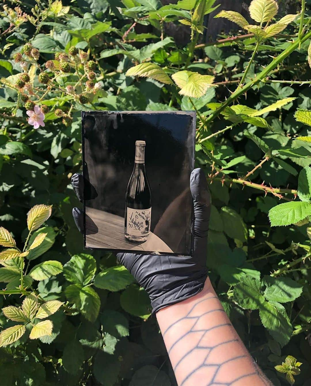 カイル・マクラクランさんのインスタグラム写真 - (カイル・マクラクランInstagram)「What a creative way to preserve a memory! This tintype of my #PursuedByBearWine is fantastic, @maxine.sferra.photo 🍷💕 #WineWednesday」7月31日 22時04分 - kyle_maclachlan