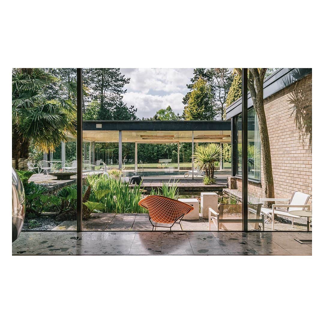 The Modern Houseさんのインスタグラム写真 - (The Modern HouseInstagram)「My Modern House: life in a mid-century masterpiece with Monica and Simon Siegel. Link in our bio to see more. @atomicinteriors」7月31日 22時20分 - themodernhouse