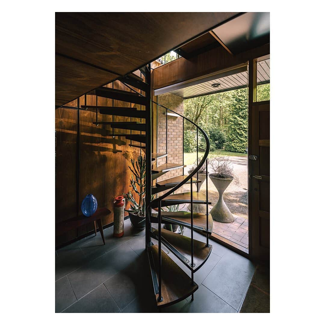 The Modern Houseさんのインスタグラム写真 - (The Modern HouseInstagram)「My Modern House: life in a mid-century masterpiece with Monica and Simon Siegel. Link in our bio to see more. @atomicinteriors」7月31日 22時20分 - themodernhouse